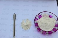 Pure Hyaluronic Acid Powder / Injection Grade Sodium Hyaluronate CAS 9004 61 9