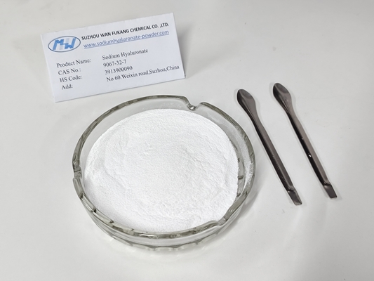 Hydrolyzed Sodium Hyaluronate 99% Hyaluronic Acid Powder Moisturizing