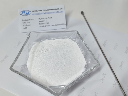 Assay 95% High Purity Hyaluronic Acid Powder Food Grade Sodium Hyaluronate