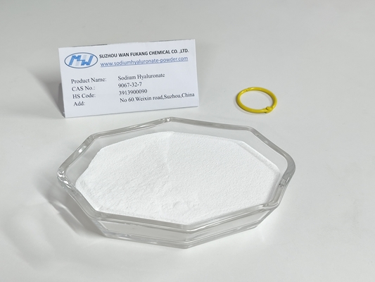 Injection Grade Sodium Hyaluronate Powder For Joint Health