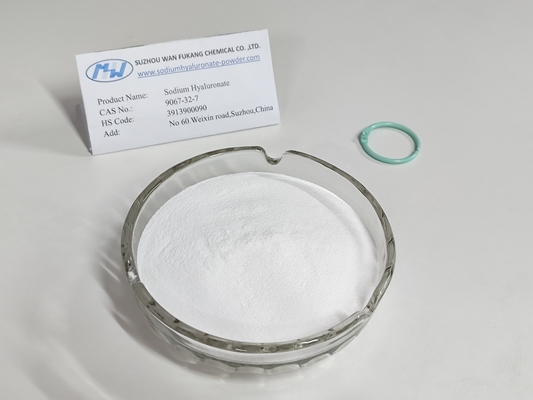 Low Molecular Weight Food Grade Sodium Hyaluronate Strong Permeability
