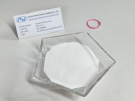 Low Molecular Weight Food Grade Sodium Hyaluronate Strong Permeability