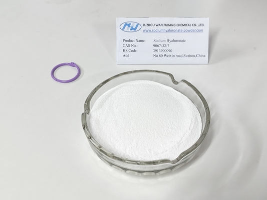 Low Molecular Weight Food Grade Sodium Hyaluronate Strong Permeability