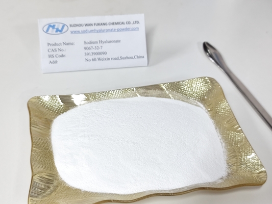 Safe Injection Grade Sodium Hyaluronate White Powder CAS No 9067-32-7