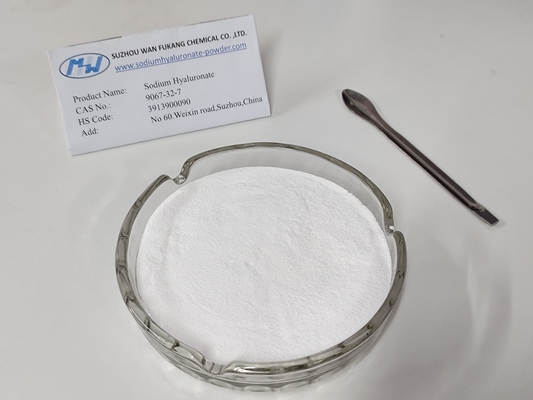 CAS No. 9067-32-7 Safe Injection Grade Sodium Hyaluronate White Powder