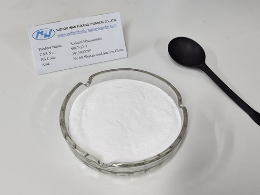 High Assay White Powder Moisturizing Sodium Hyaluronate For Eyes CAS 9067 32 7