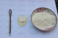 Industrial Injection Grade Hyaluronic Acid Powder High Stability Joint Health