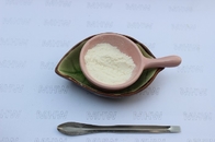 Industrial Chondroitin Sulfate Shark Source 80% Purify CAS 9007 28 7