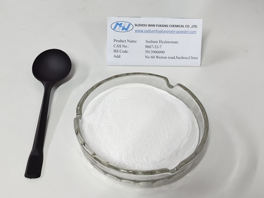 High Assay Sodium Hyaluronate Powder Skin Care Products Raw Material Cas 9067 32 7